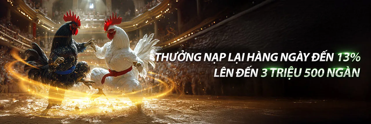 Đá Gà Trực Tiếp Thomo Ngày 7 Tháng 04